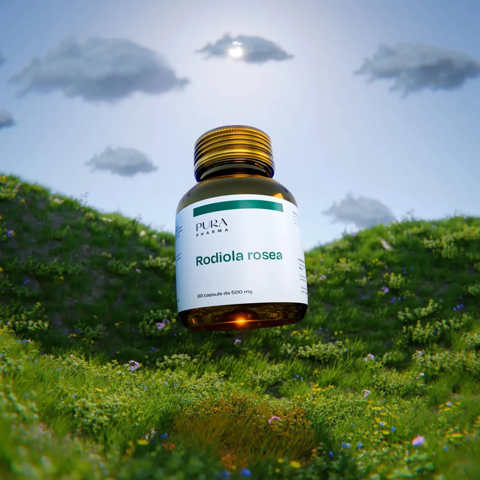 Lodhja & energjia